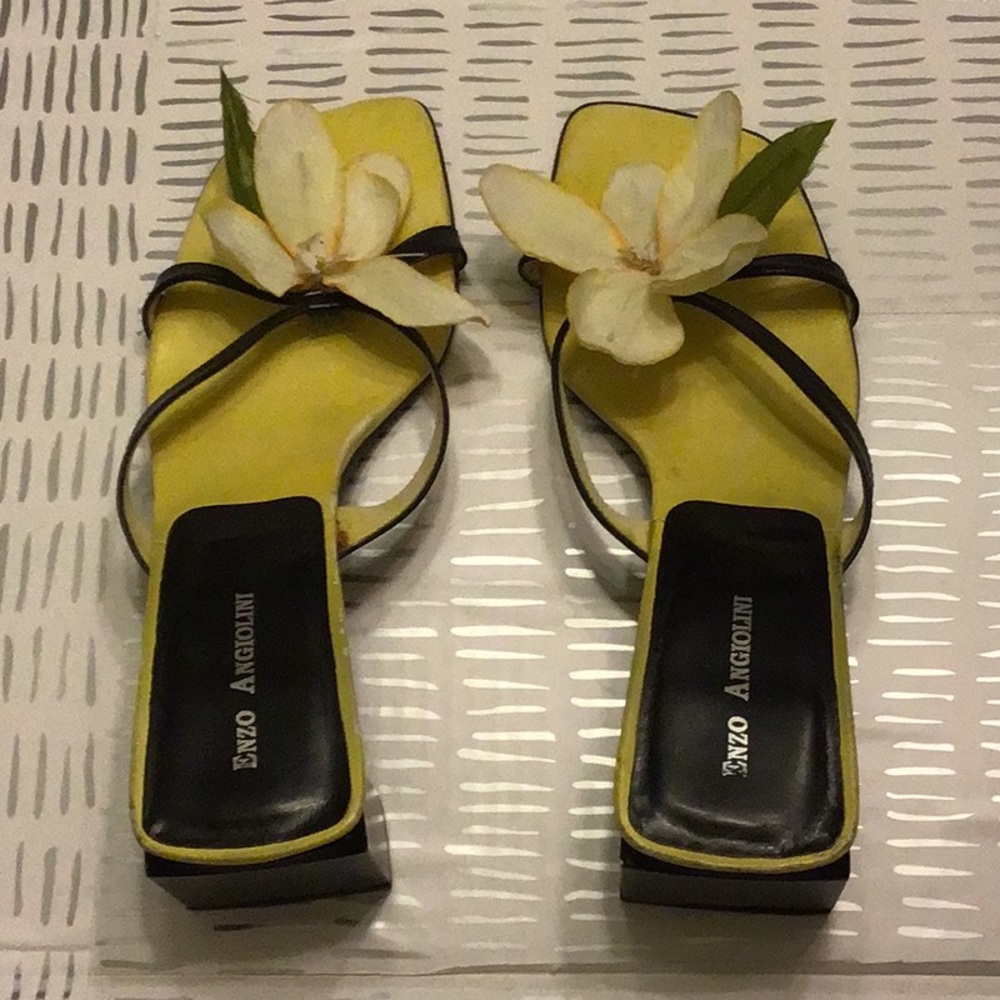 Enzo Angiolini sandals used